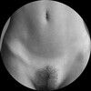 thicconnoisseur